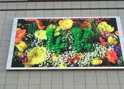 河南LED显示屏