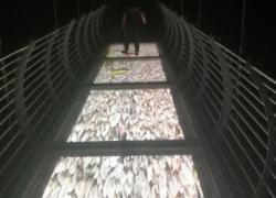 郑州LED智慧互动地砖屏,LED智能互动地砖屏