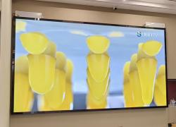 室内led显示屏